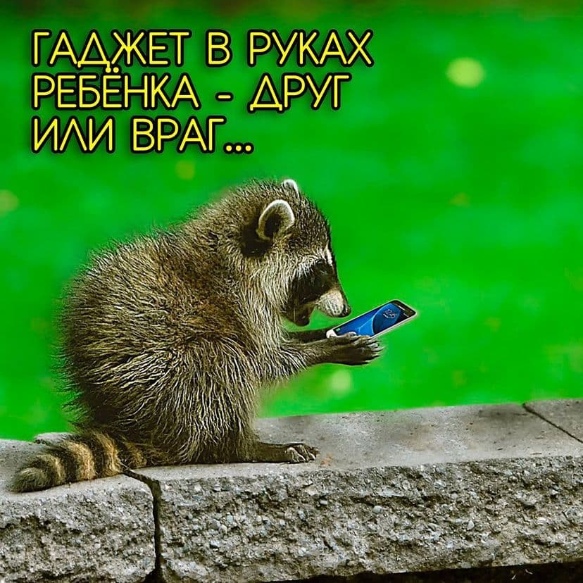 4EDD575A-B913-4FCB-AB91-27CD33272CD1.JPG